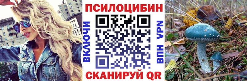 сколько стоит  Обоянь  blacksprut ссылка  Галлюциногенные грибы Psilocybe 